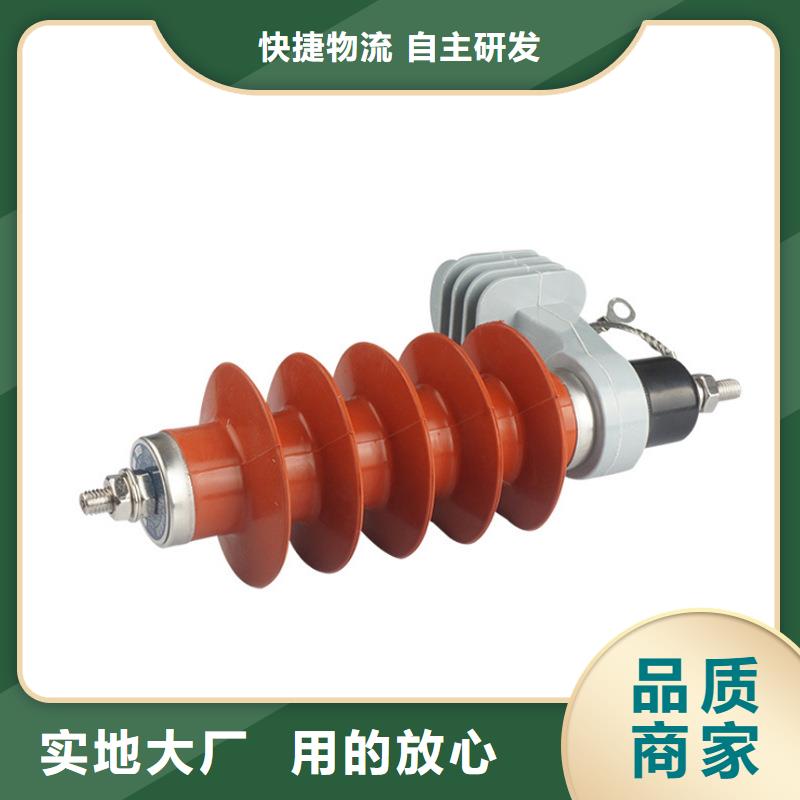 Y10W5-108/281W高压金属氧化物避雷器