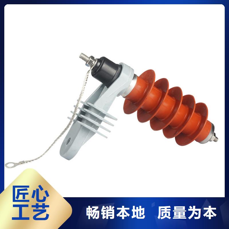 YH10W5-116/302GY防污型高压避雷器