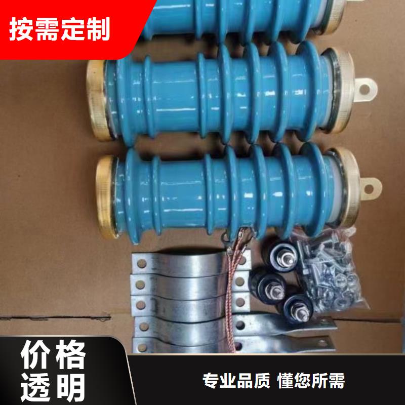 Y10W1-192/500GW陶瓷高压避雷器