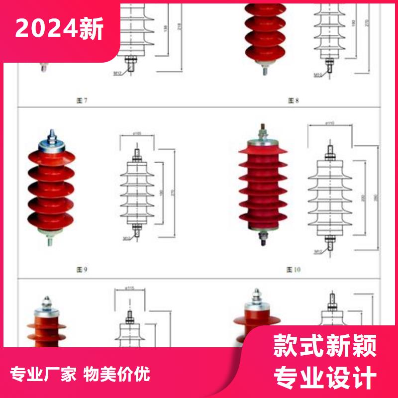 YH10W5-192/500W防污型避雷器