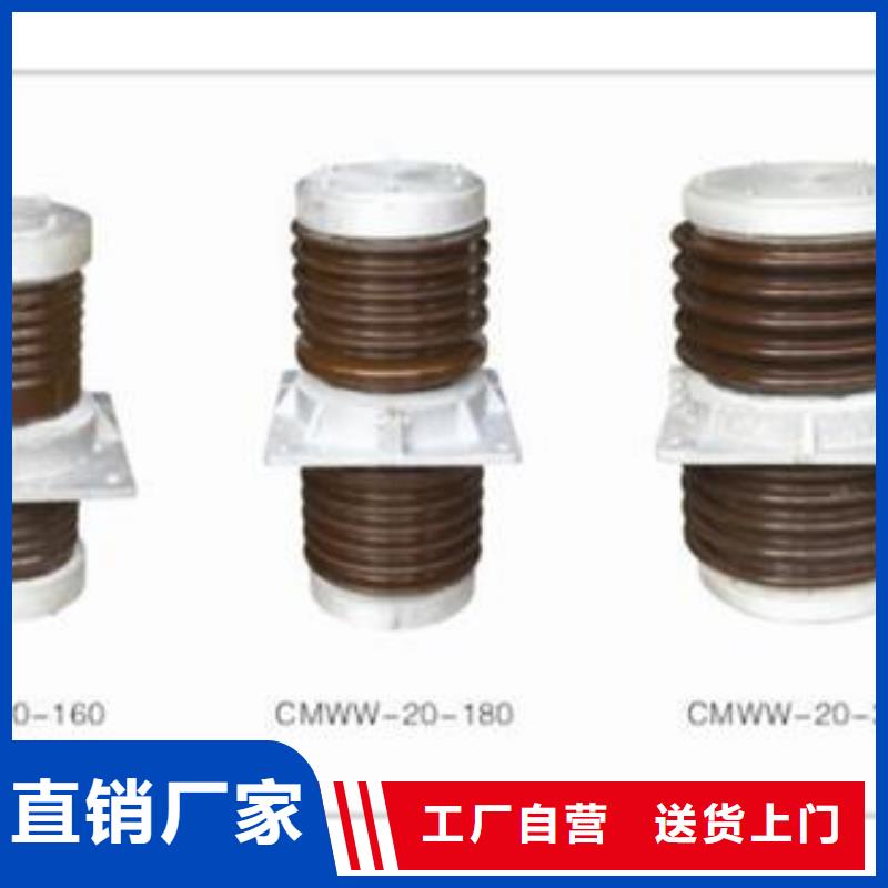 CWWB-35/4000A陶瓷穿墙套管樊高