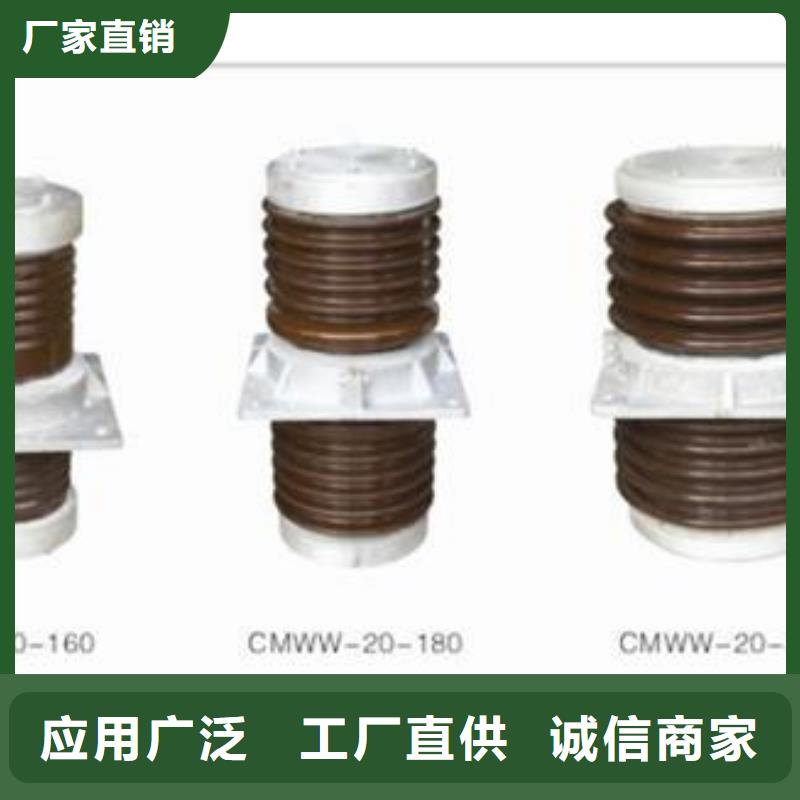 CWW-10/400A-4陶瓷穿墙套管