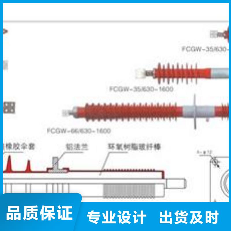 CWWB-35/4000陶瓷套管