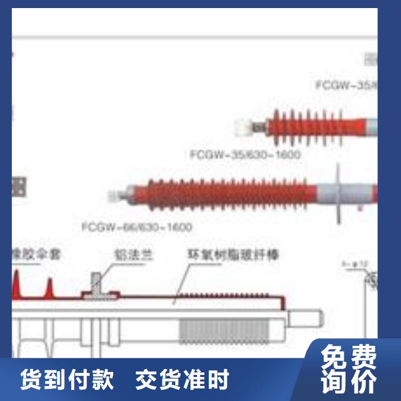 FCRG-40.5/3150A复合套管樊高