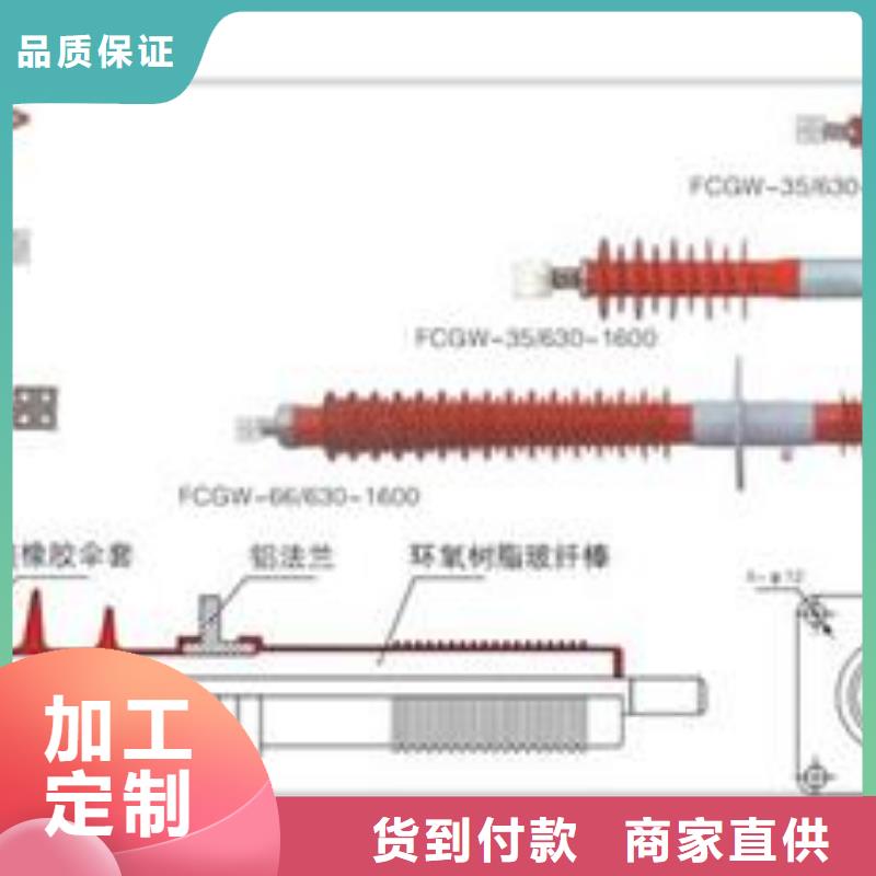 FCRG3-40.5/2500A硅胶穿墙套管樊高