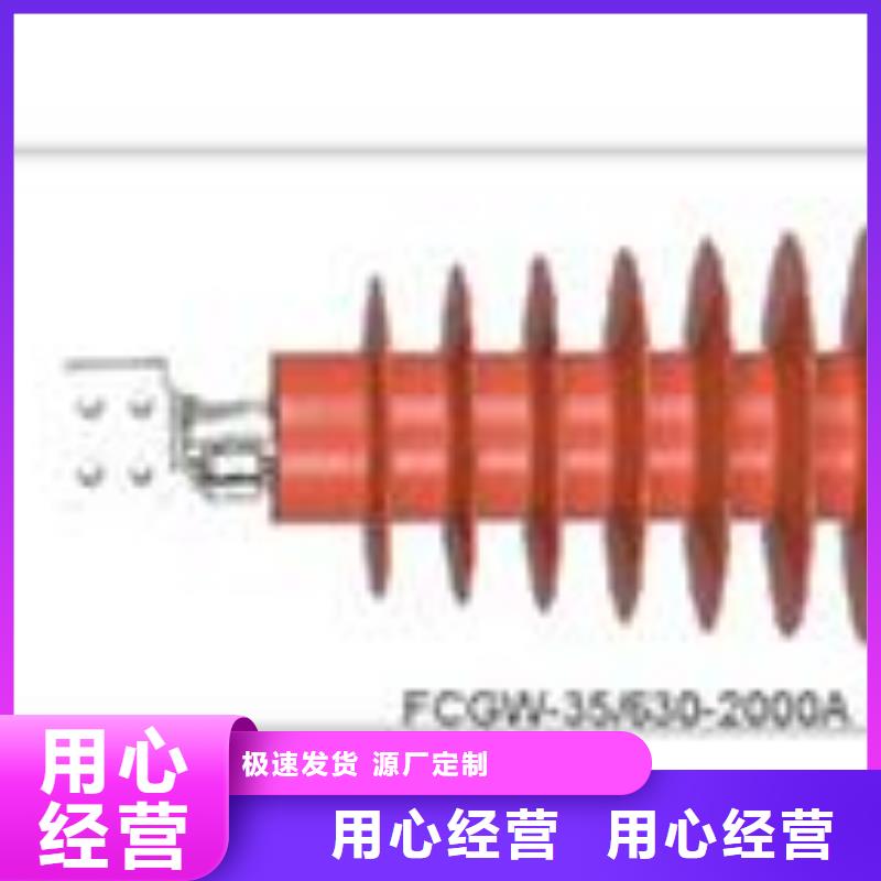 FCWW-40.5/3150硅橡胶穿墙套管