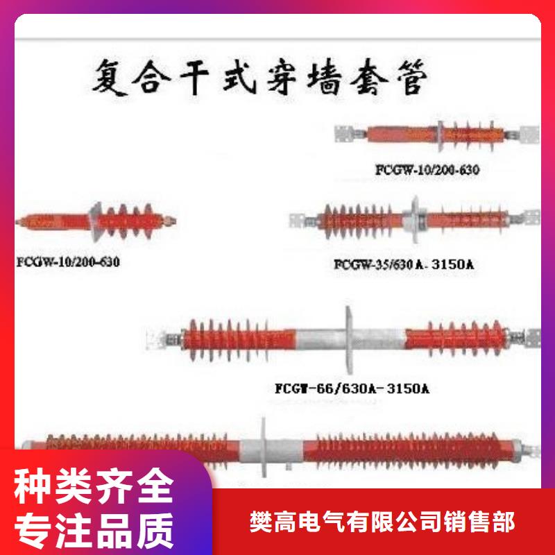 CWWB-20/2500A-4陶瓷套管樊高