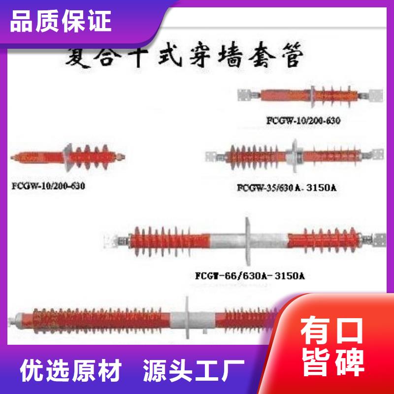 FCWB-12/1000A高压穿墙套管