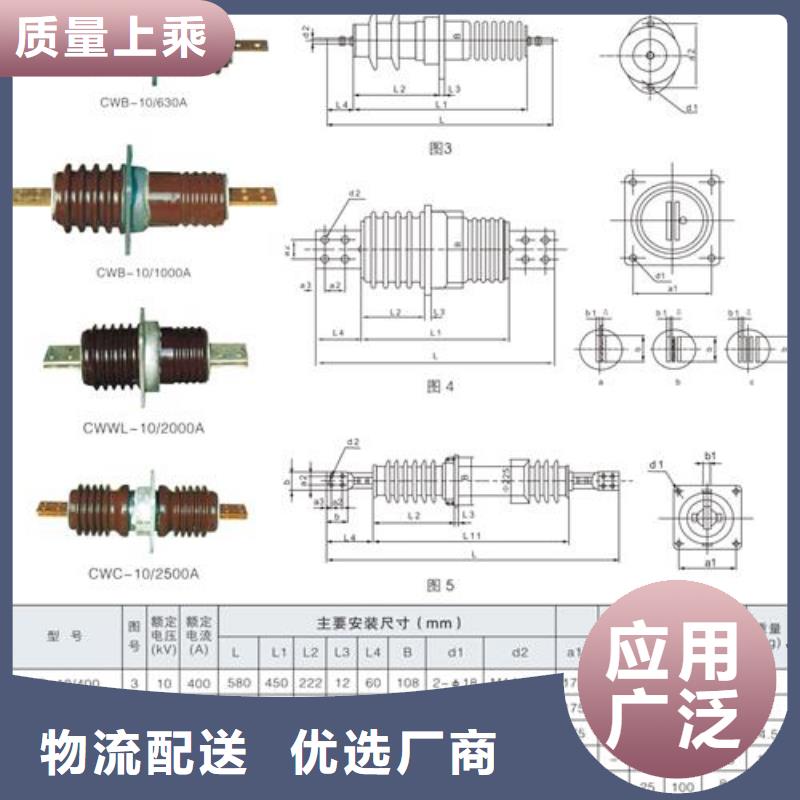 CWW-10/3150高压穿墙套管樊高