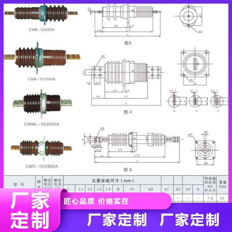 FCWB-24/400高压穿墙套管