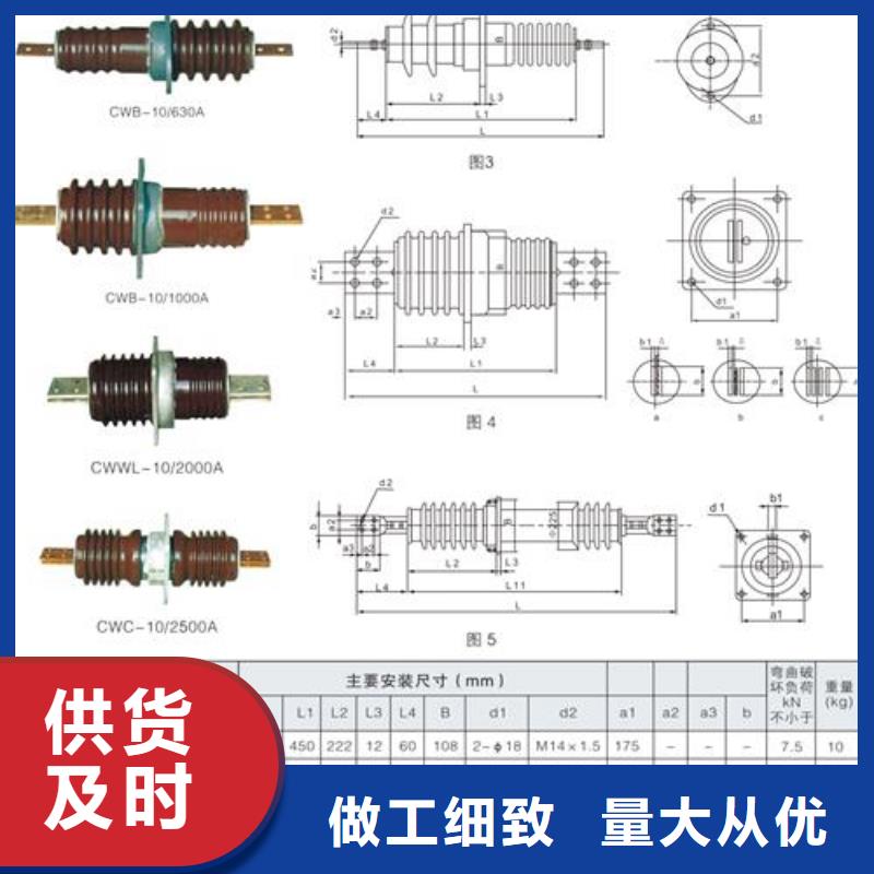 CWWB-10/1000A高压穿墙套管