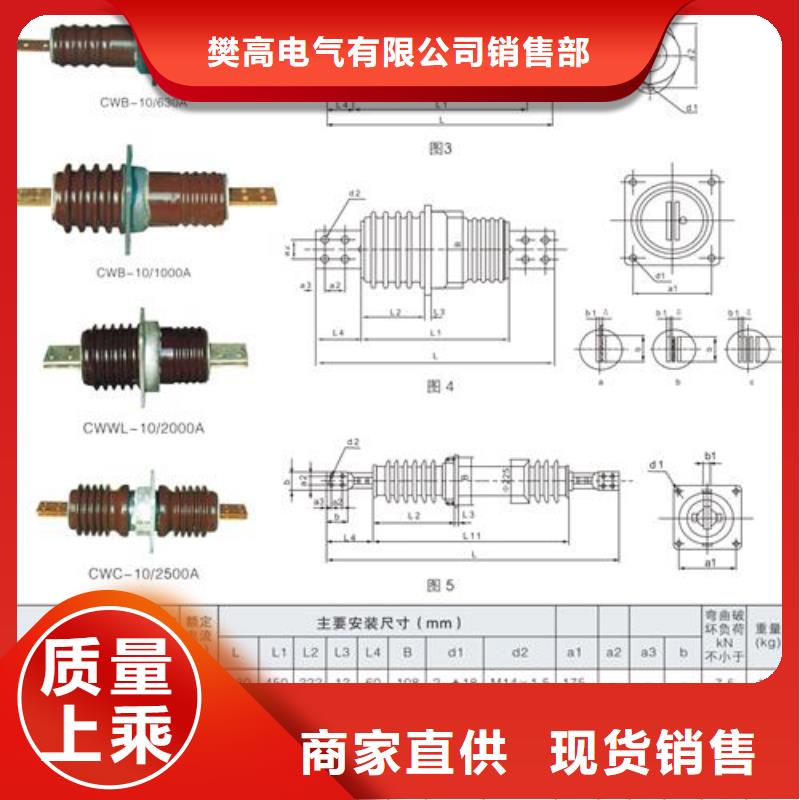 CWC-40.5/3000A陶瓷套管樊高