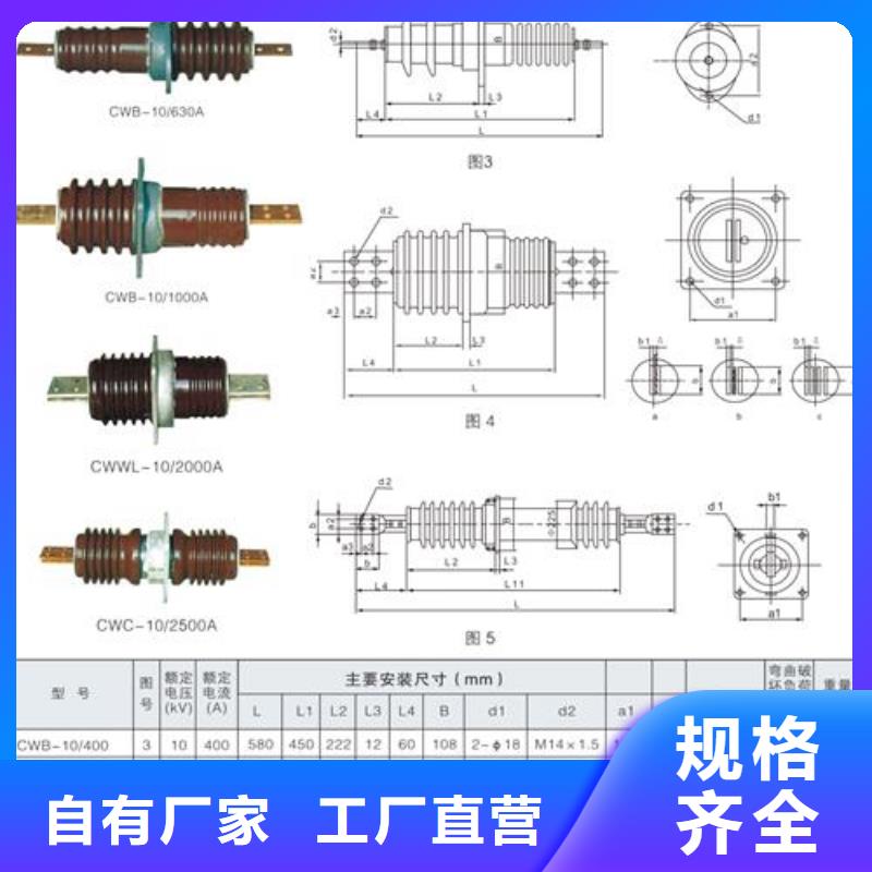 CWB-10/1000A陶瓷套管