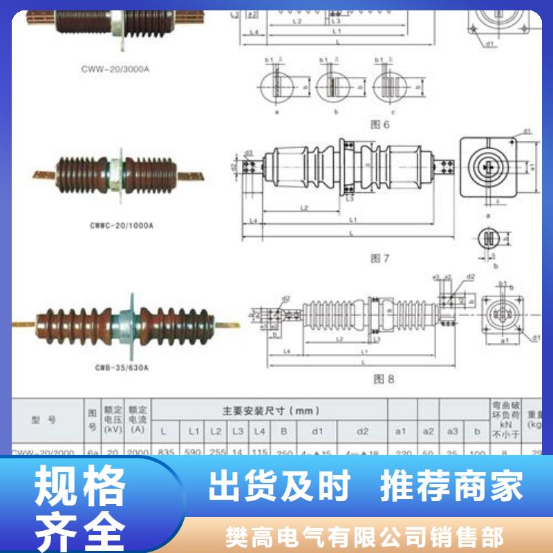 FCRG-35/1600高压复合套管