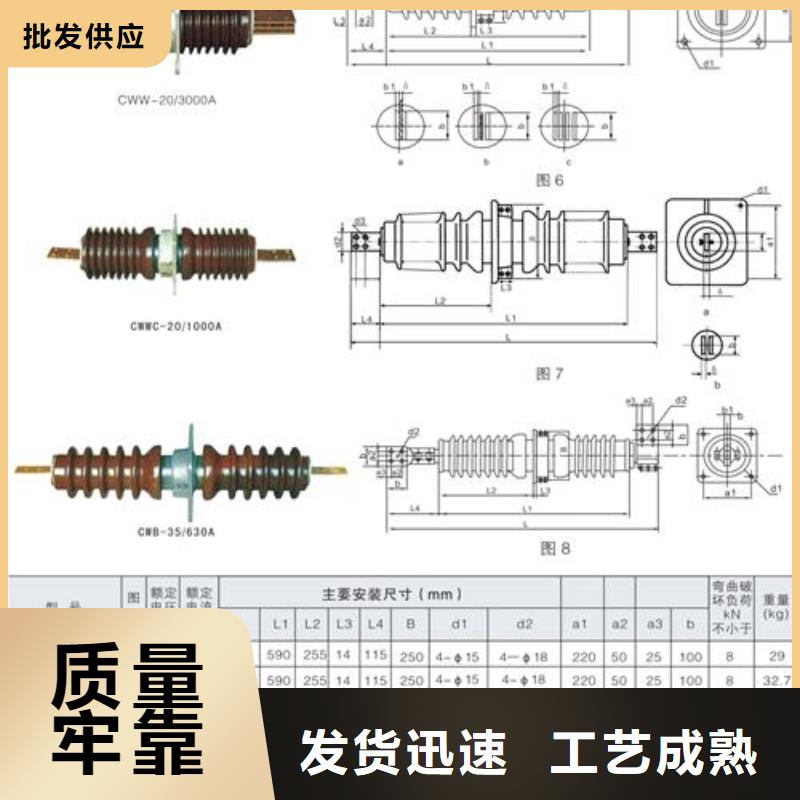 CWWC-20/400高压穿墙套管樊高