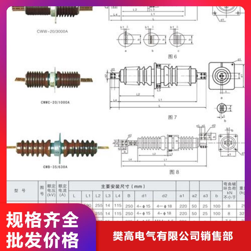 FCGW-12/1000高压复合穿墙套管