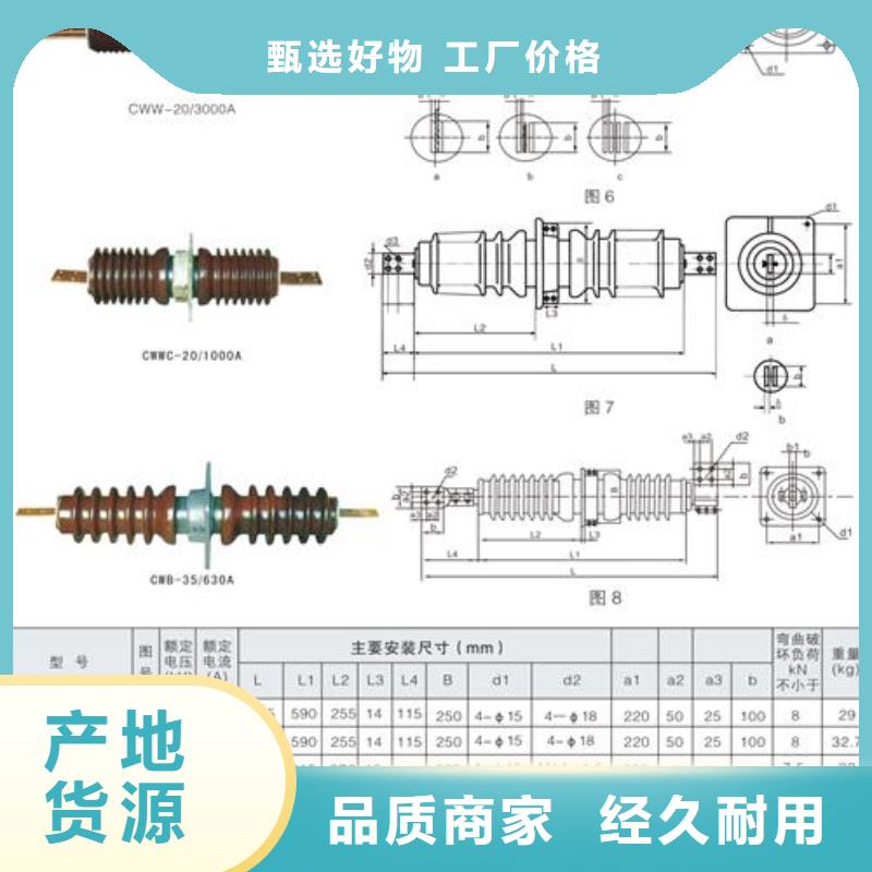 FCWB-20/1600A高压穿墙套管