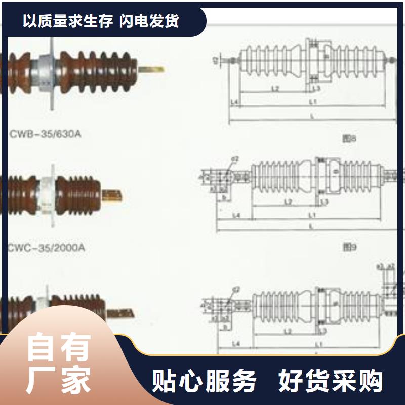 FCGW-40.5/1000硅胶穿墙套管