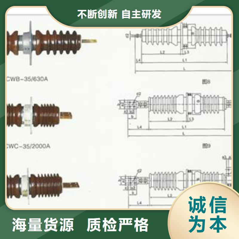 CWWL-10/400A-4陶瓷穿墙套管樊高