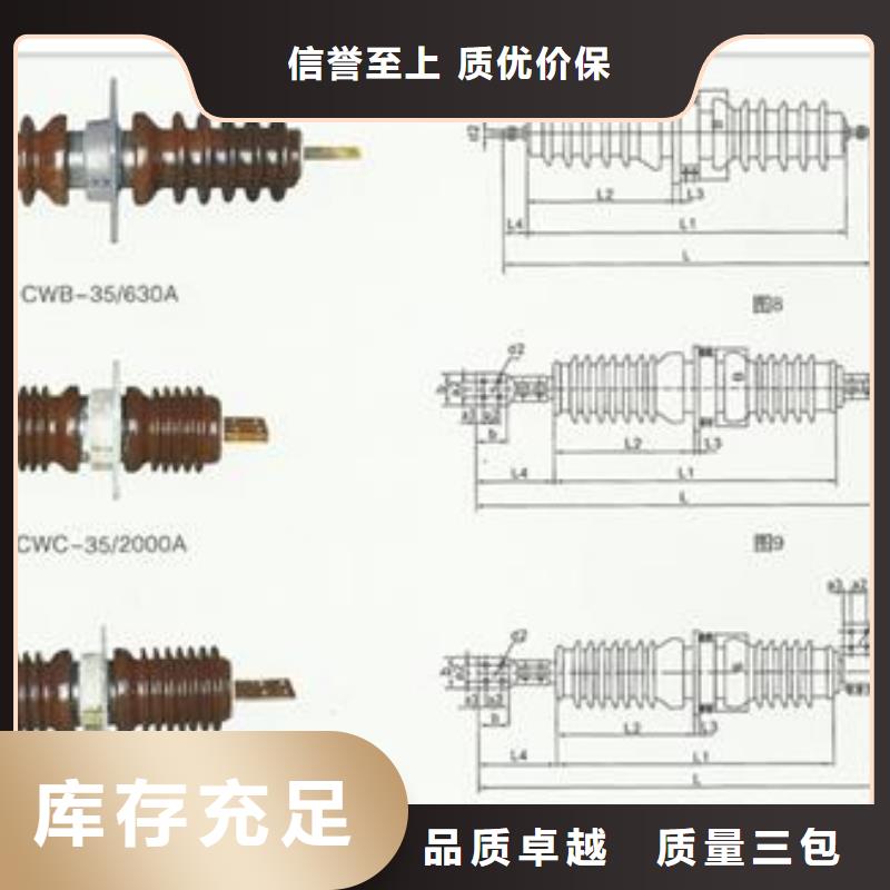 CWWB-10/1000高压穿墙套管樊高