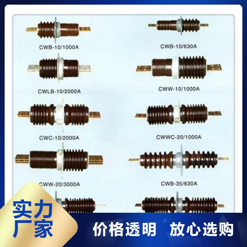 FCGW-35/2500A高压硅胶穿墙套管