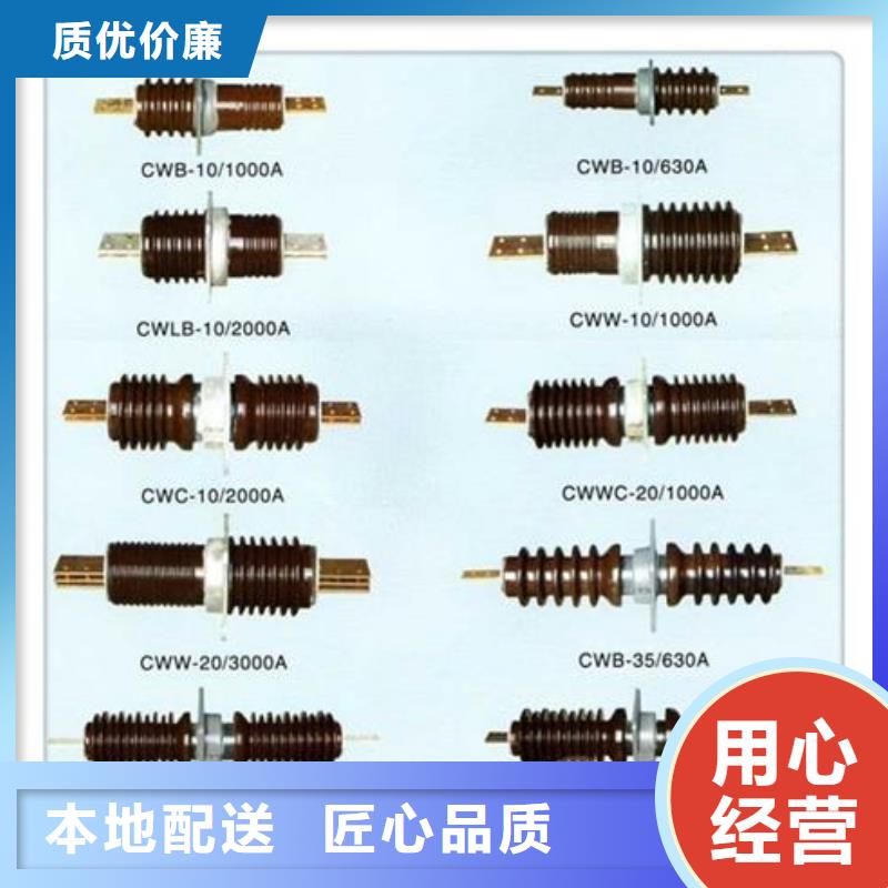 CWW-10/2000A-4陶瓷穿墙套管樊高