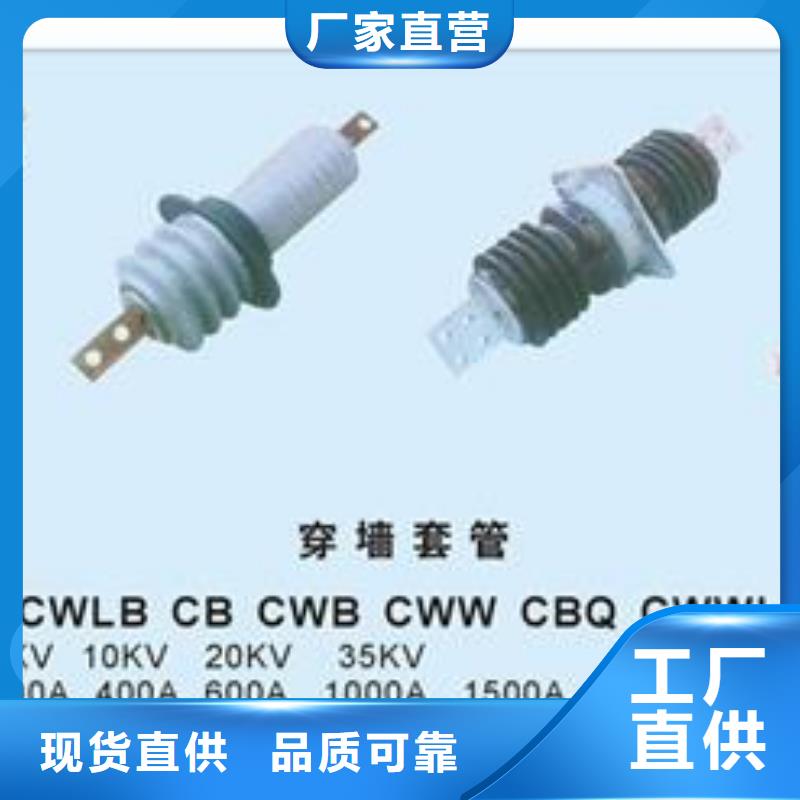 CWWB-20/2500A-4陶瓷套管樊高