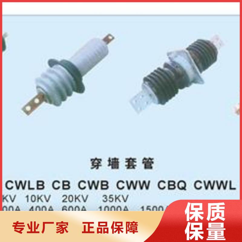 CWB-20/400高压穿墙套管