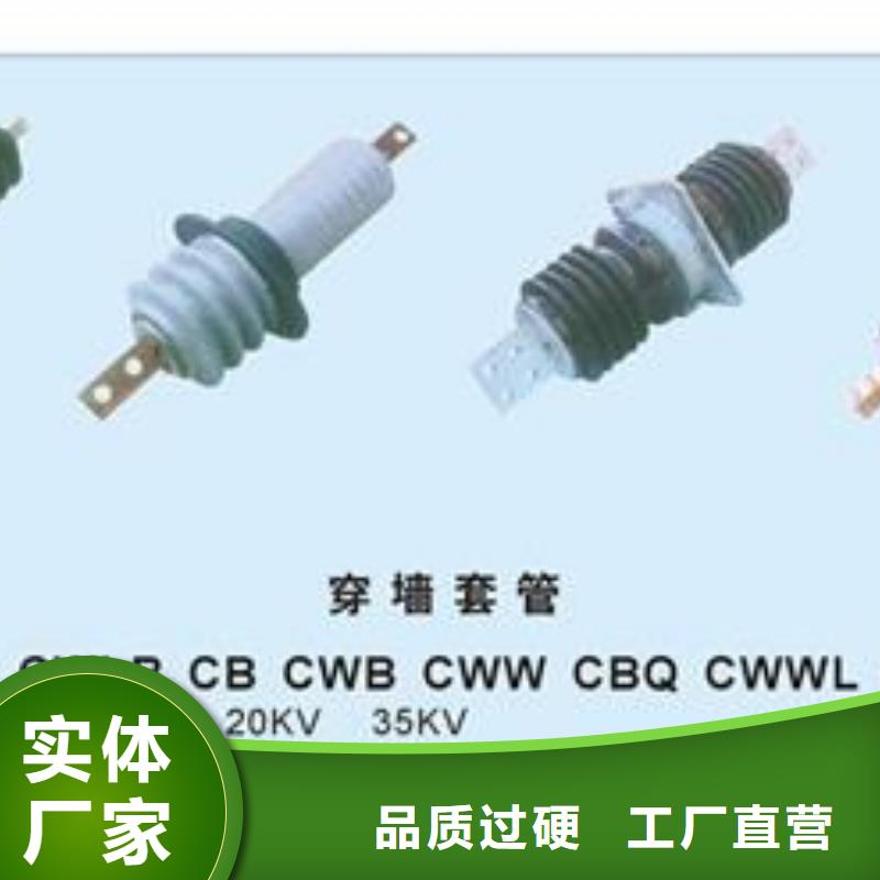 CWWB-10/1000高压穿墙套管樊高