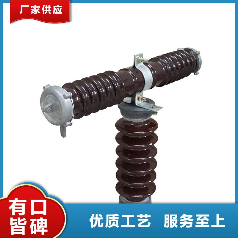 BRN-10/100A高压限流熔断器