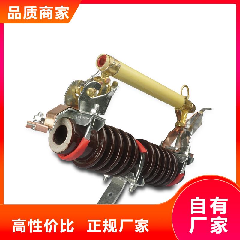 XS-10/100A出口型跌落式熔断器