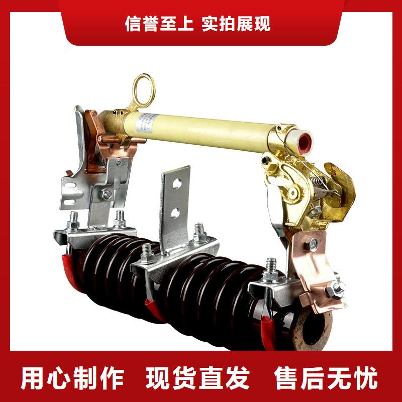 PD3-36/100A出口型跌落式熔断器