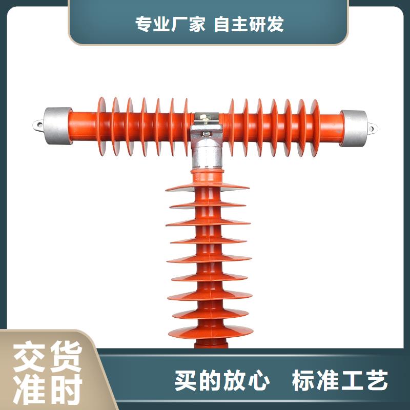 RW10-10/200A跌落保险