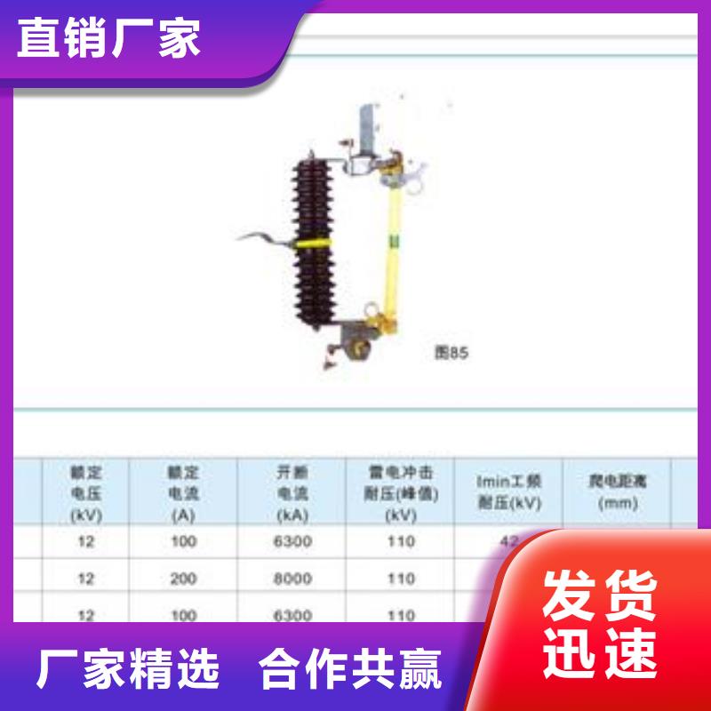 XRNP1-40.5/0.2A限流熔断器