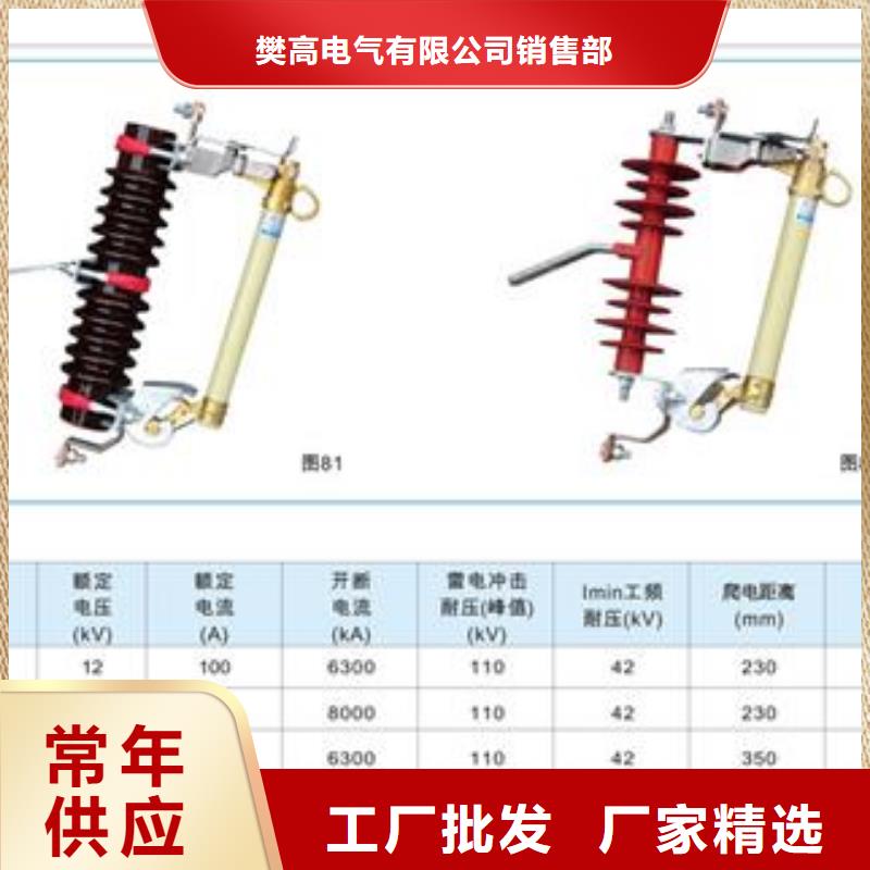 BR2-10/100A乐东县高压保险