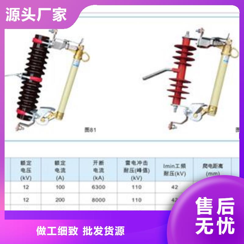 RW7-10/100跌落保险