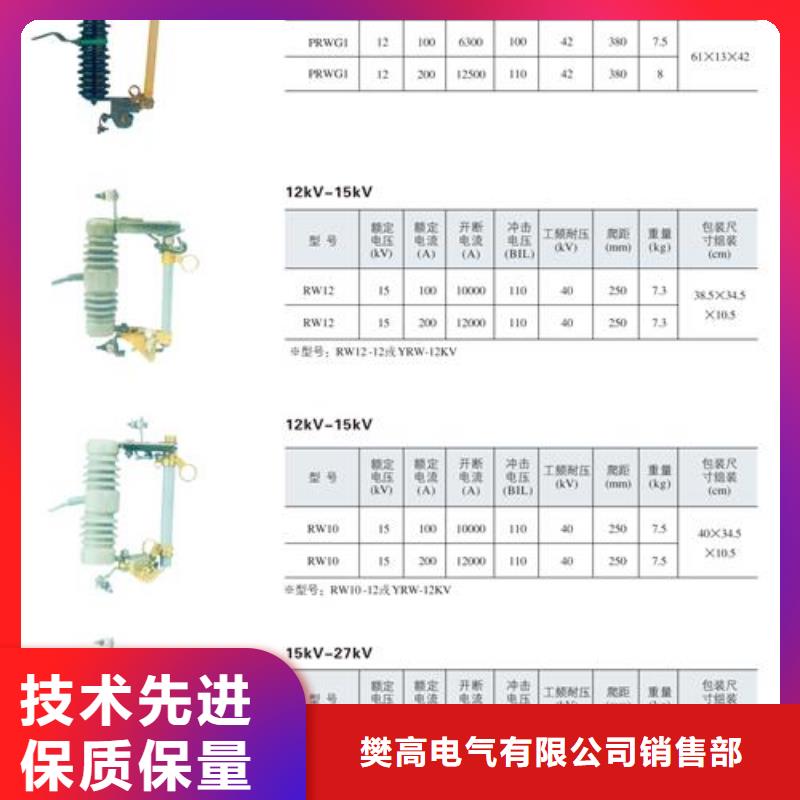 NCX-10/100A跌落开关厂家