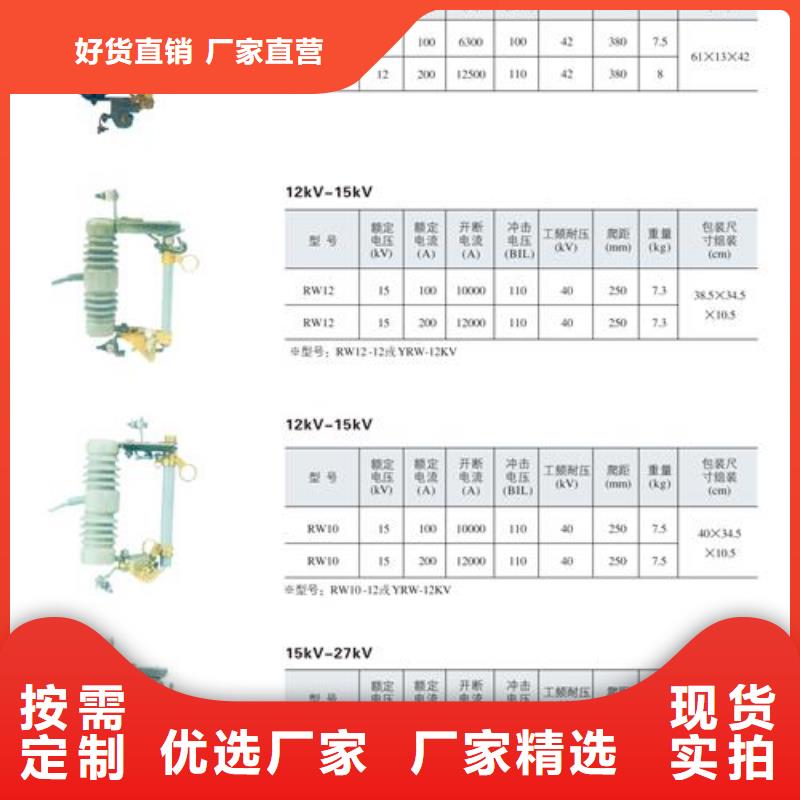 XRNP-24/0.2A高压熔断器