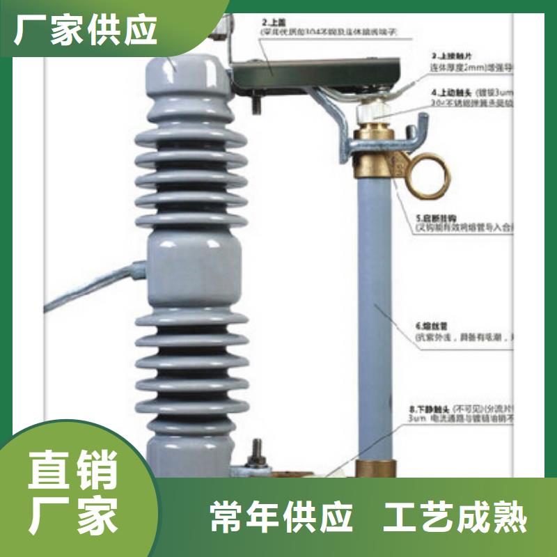 熔断器_绝缘子现货销售