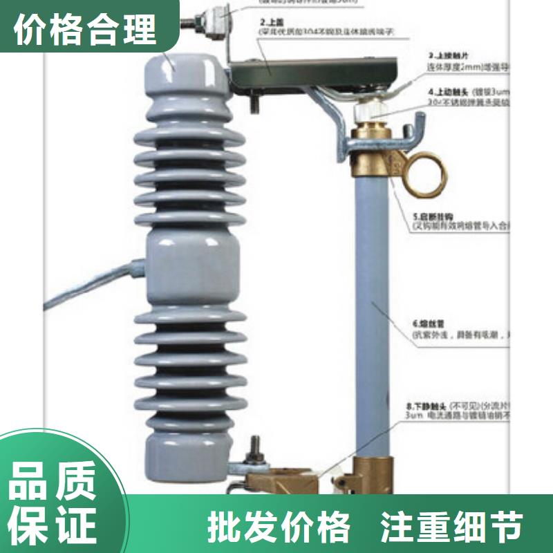 XRNP-12/1A高压保险管