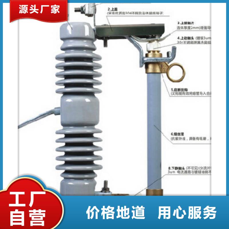 HRW10-10F/100A跌落保险