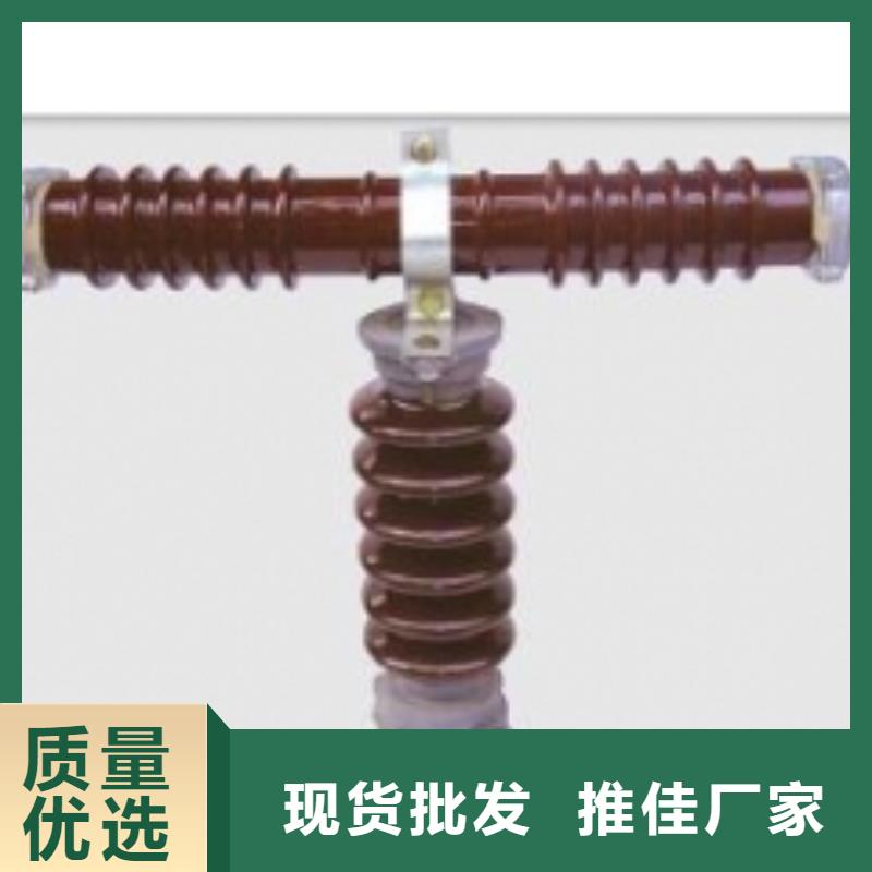 XRNP1-12KV/0.2A高压限流熔断器