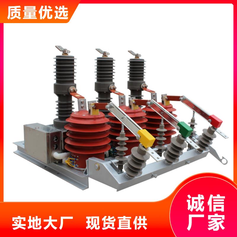 ZWM9-12永磁真空断路器