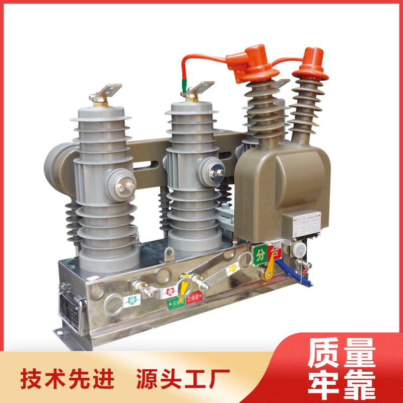 VS1-12/1000-25户内真空断路器手车式