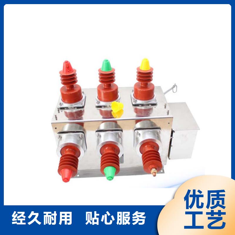 真空断路器【跌落式熔断器公司】闪电发货