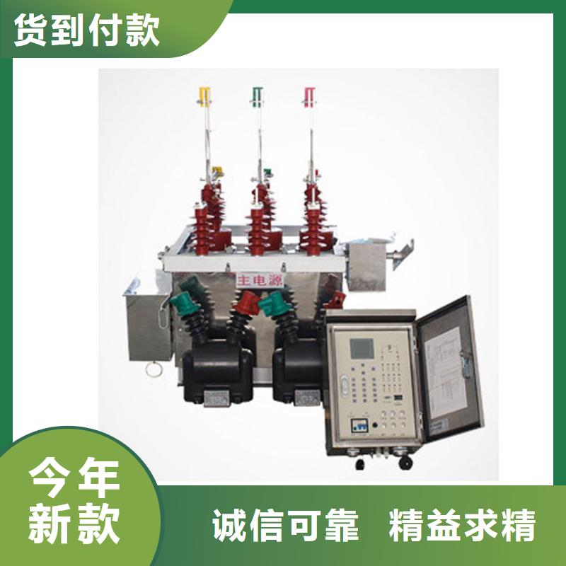 DW13-40.5/1000-20六氟化硫断路器