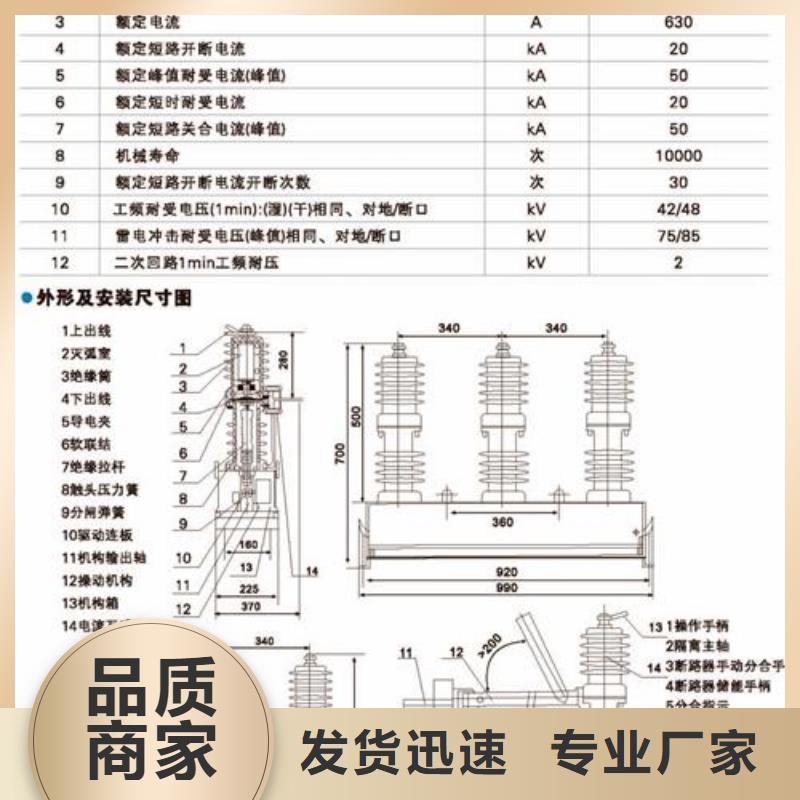 LW3-10G/630-12.5六氟化硫断路器