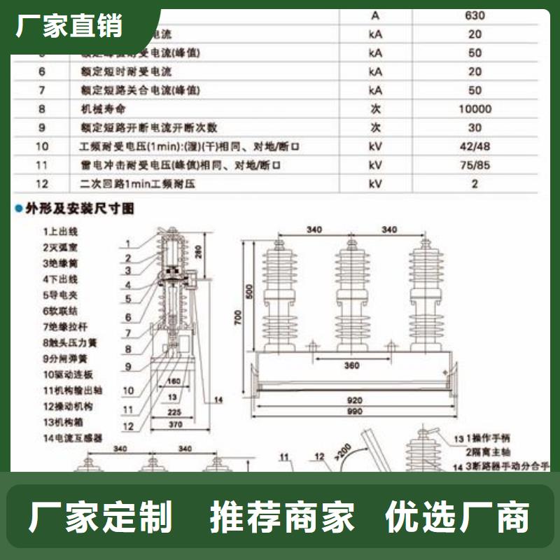 LW16-40.5/2000-25高压断路器樊高