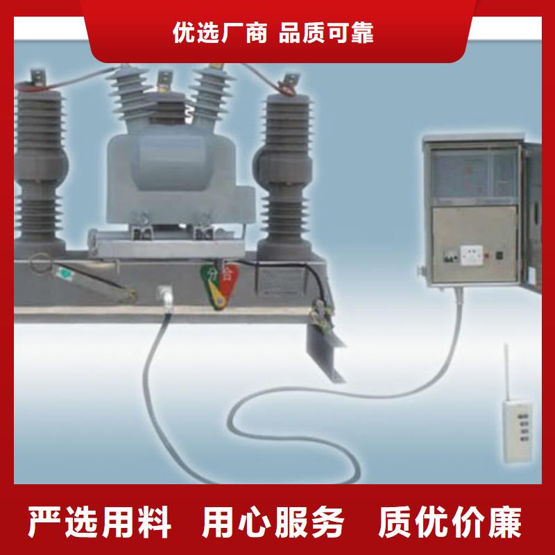 ZW8-12F/630A永磁真空断路器樊高