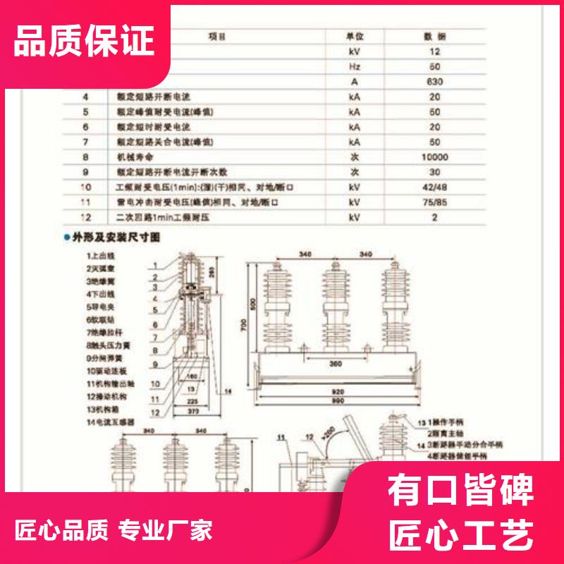 ZWM9-12/630永磁断路器